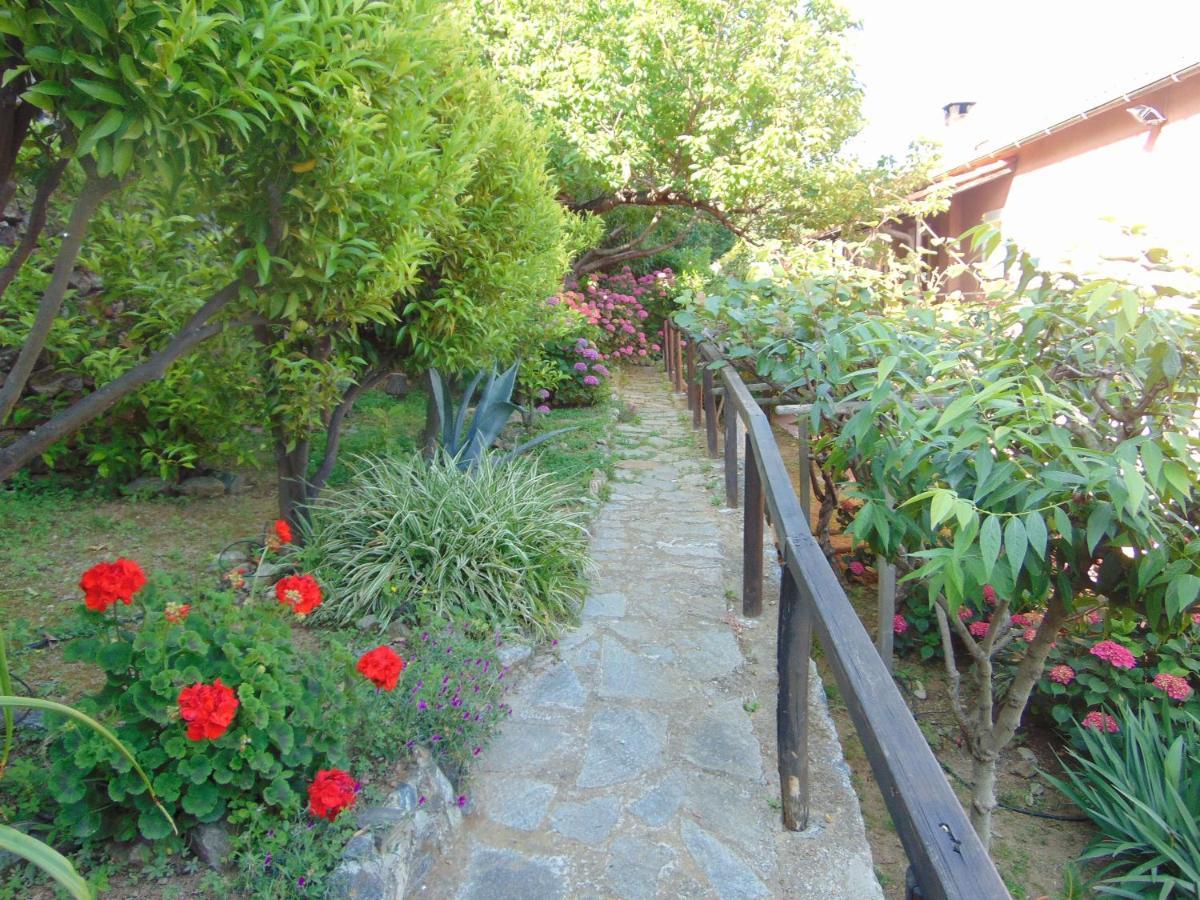 Casa Roberto B&B Savona Exteriér fotografie