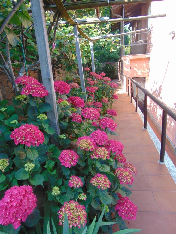 Casa Roberto B&B Savona Exteriér fotografie