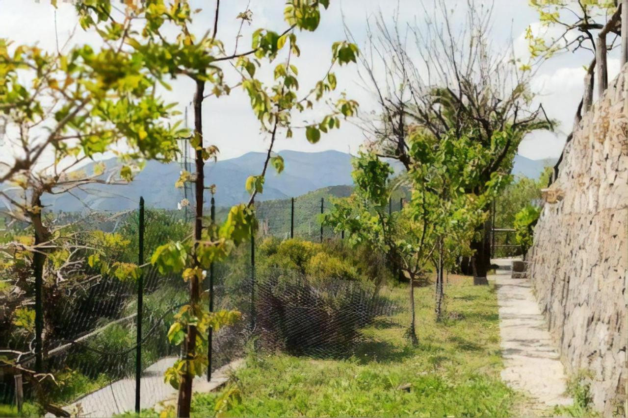 Casa Roberto B&B Savona Exteriér fotografie